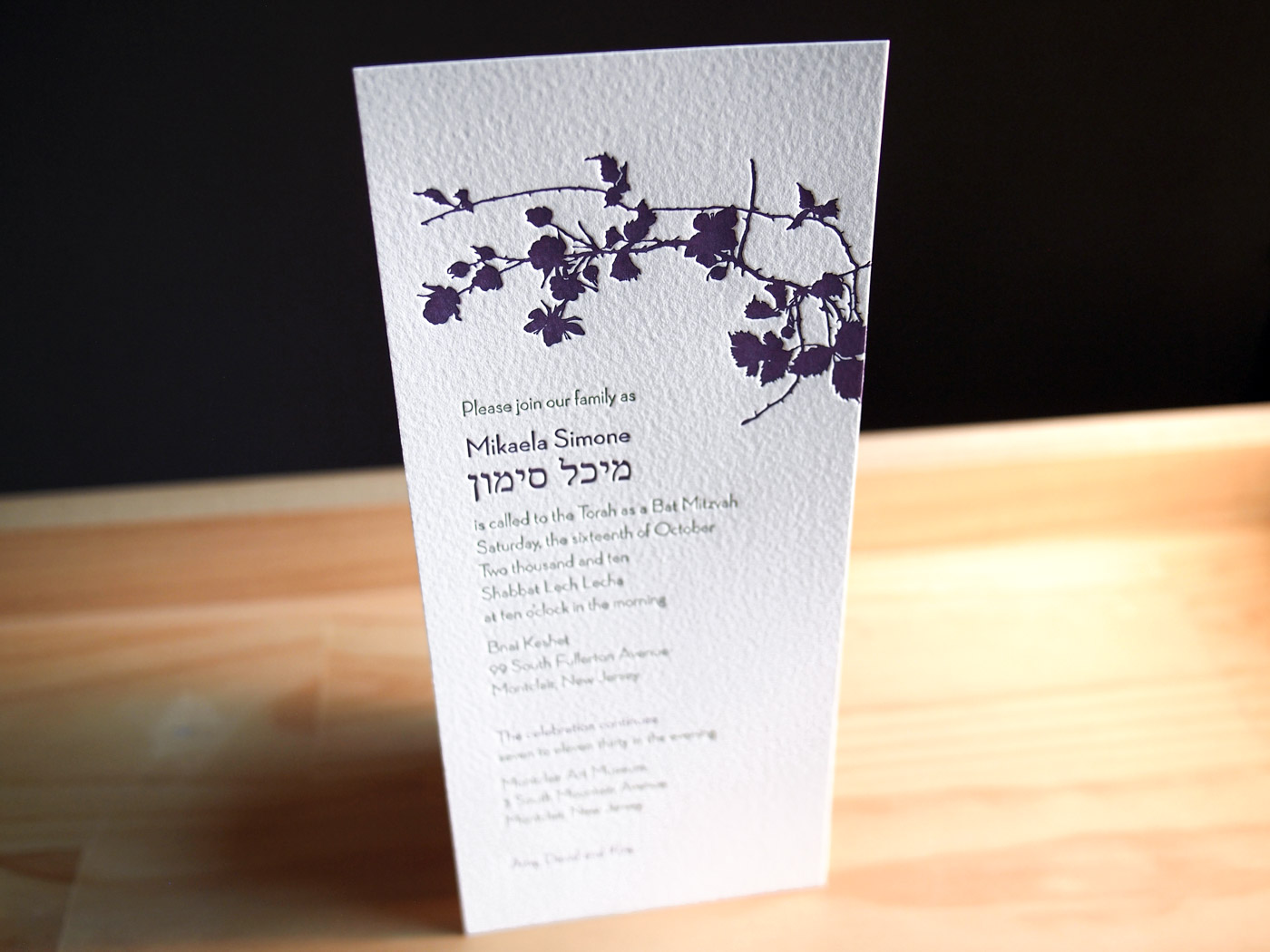 Flora Bat Mitzvah from Parklife Press