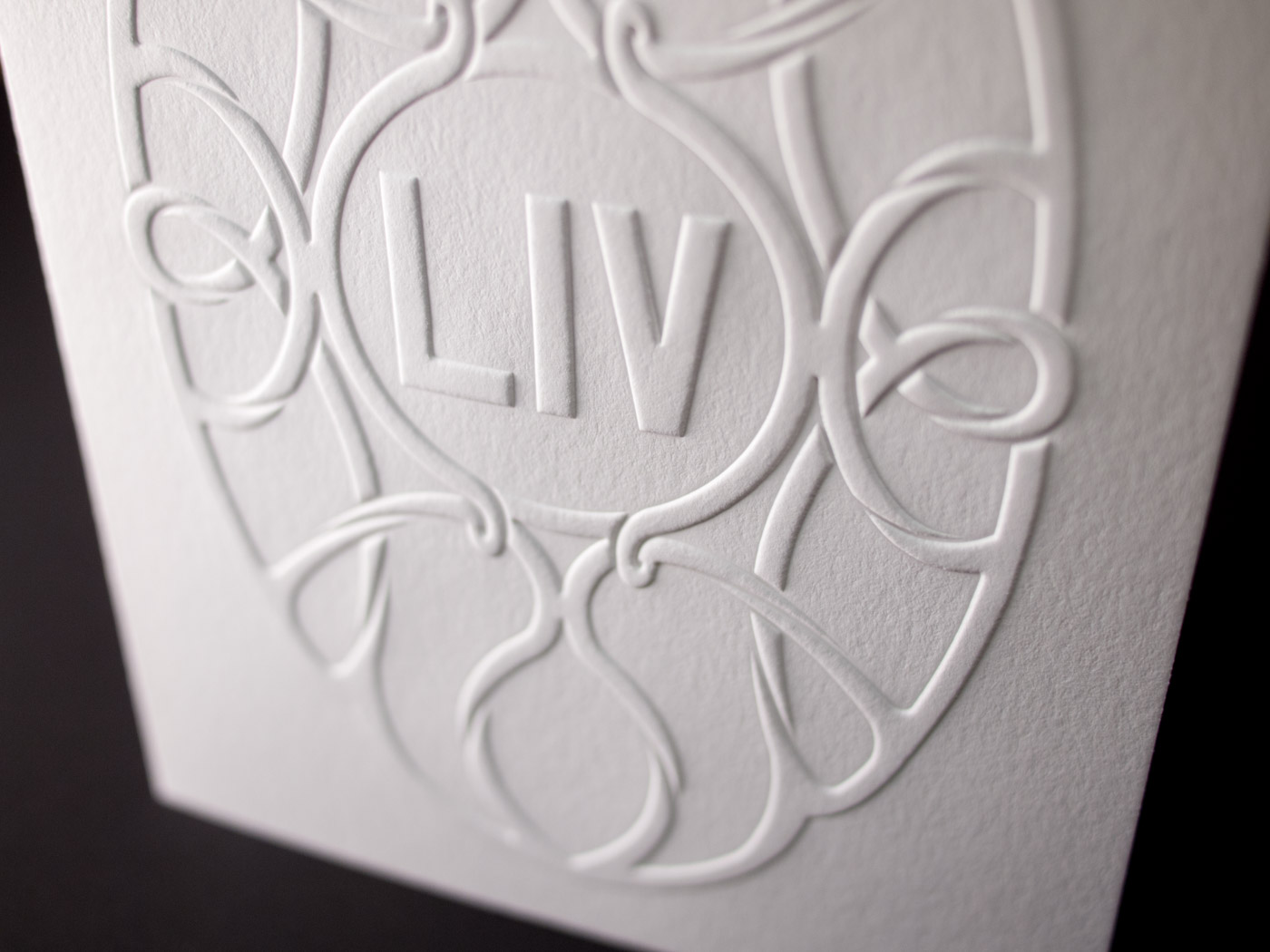 LIV Holiday Cards | Printed by Parklife Press