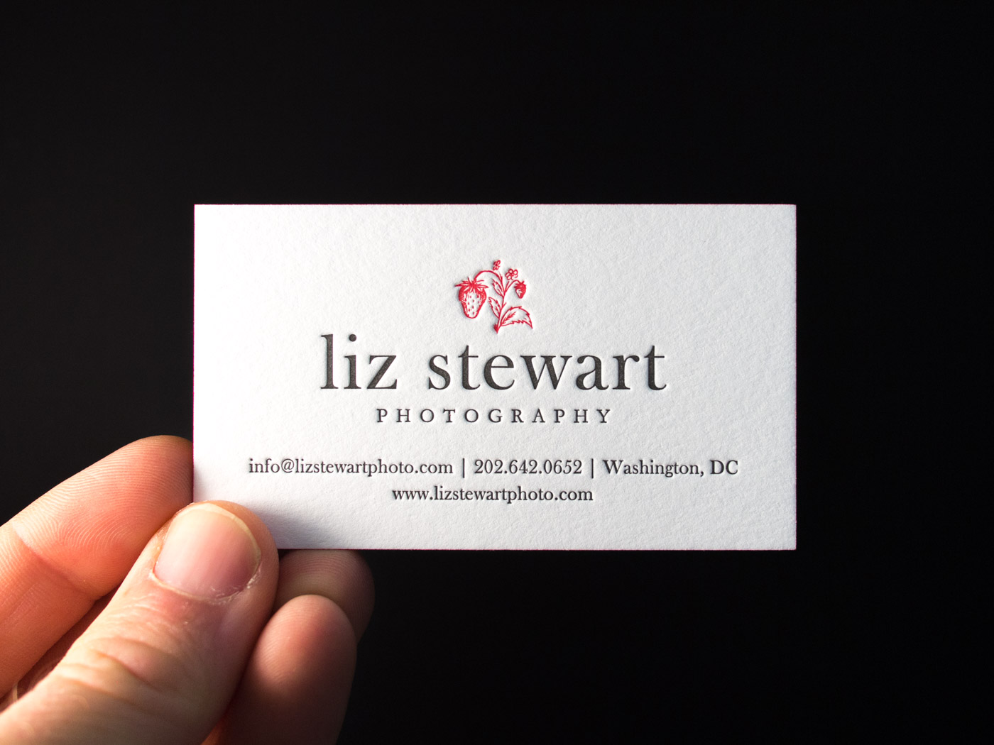 Liz Stewart | Printed by Parklife Press