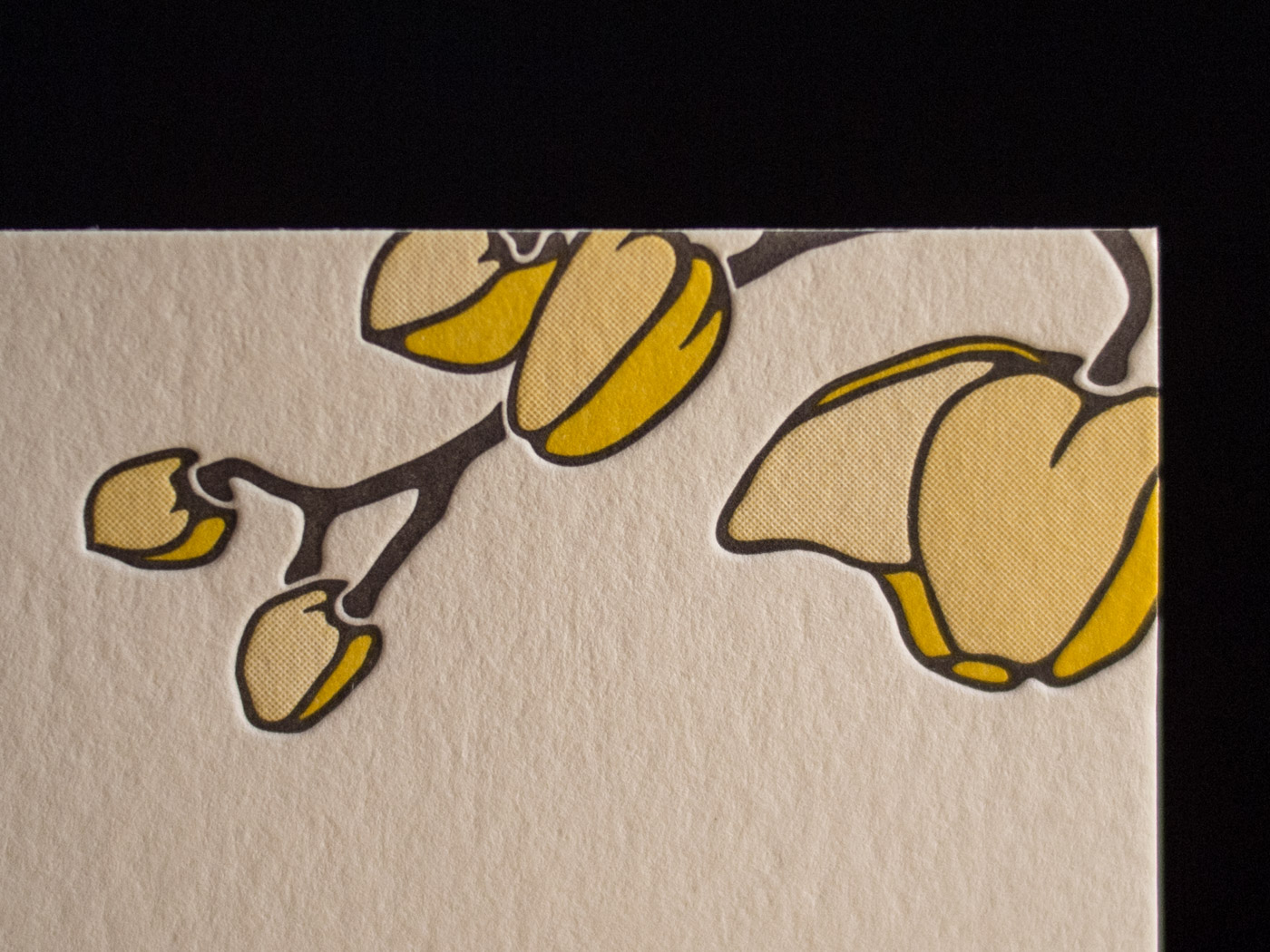 Petal invitation from Parklife Press
