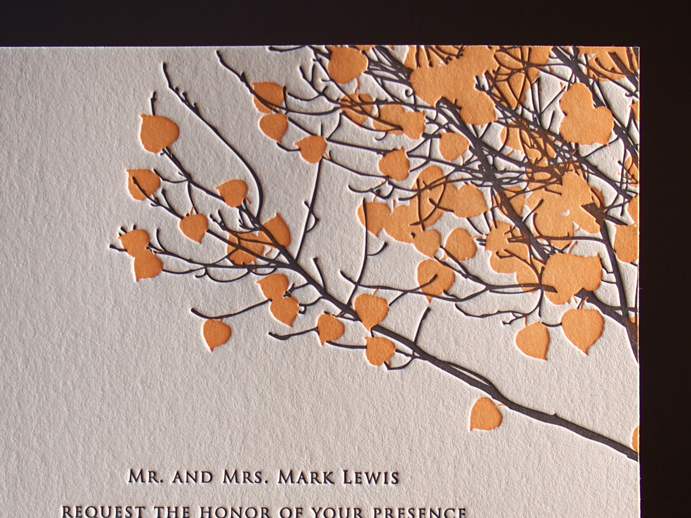 Vail invitation from Parklife Press
